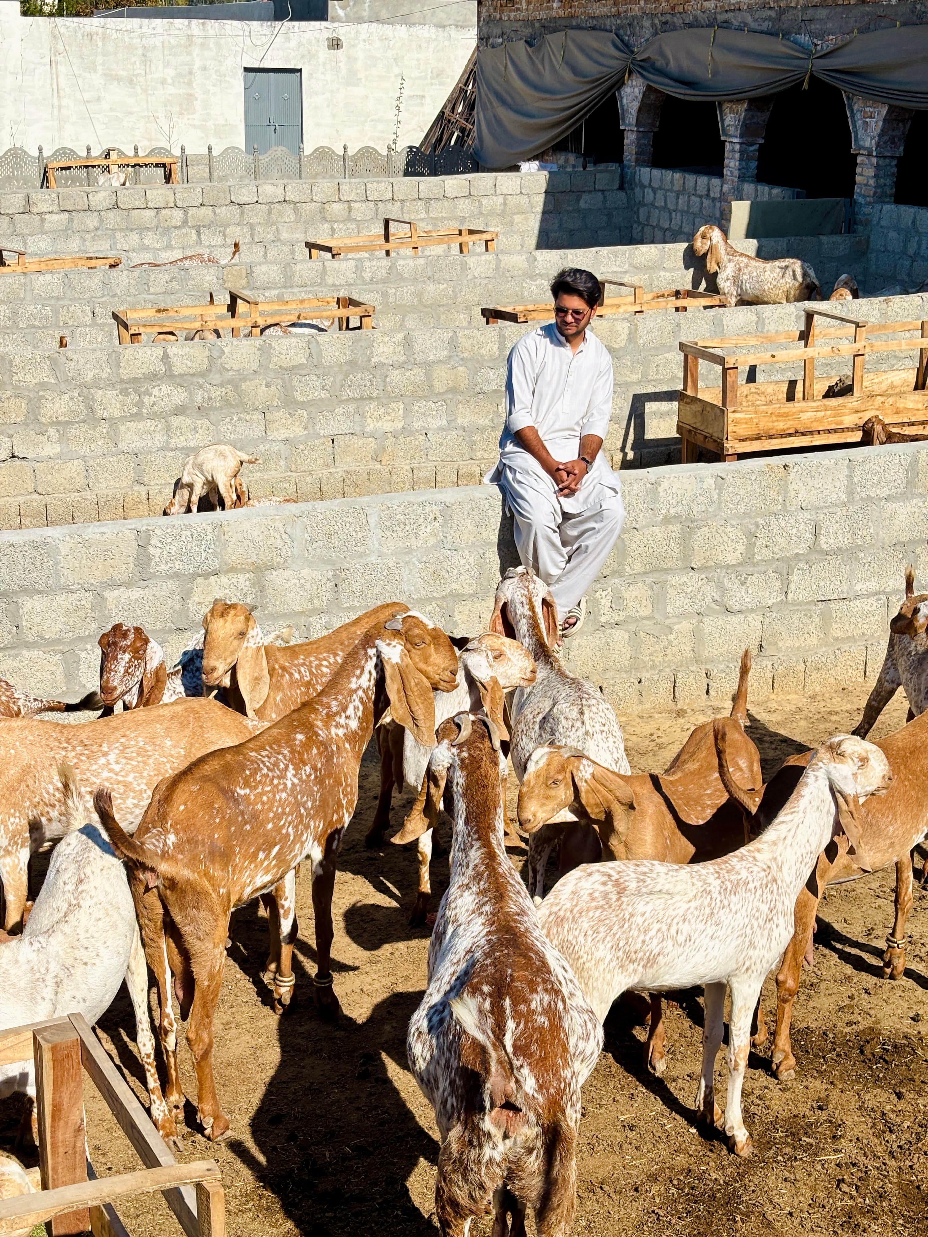 Founder with goats at Maveshi Farms